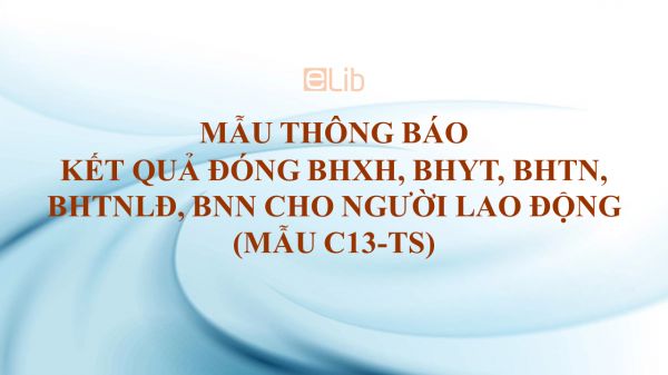 Mẫu C13-TS: Thông báo kết quả đóng BHXH, BHYT, BHTN, BHTNLĐ, BNN cho người lao động