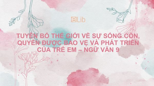 Tuyên bố thế giới về sự sống còn, quyền được bảo vệ và phát triển của trẻ em Ngữ văn 9