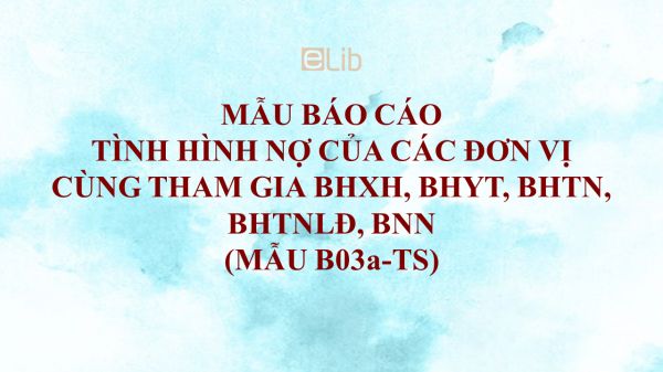 Mẫu B03a-TS: Báo cáo tình hình nợ của các đơn vị cùng tham gia BHXH, BHYT, BHTN, BHTNLĐ, BNN