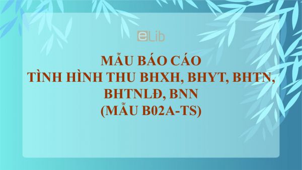 Mẫu B02a-TS: Báo cáo tình hình thu BHXH, BHYT, BHTN, BHTNLĐ, BNN