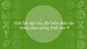 Giải bài tập SGK Sinh học 9 Bài 33: Gây đột biến nhân tạo trong chọn giống