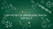 Giải bài tập SGK Sinh học 9 Bài 36: Các phương pháp chọn lọc