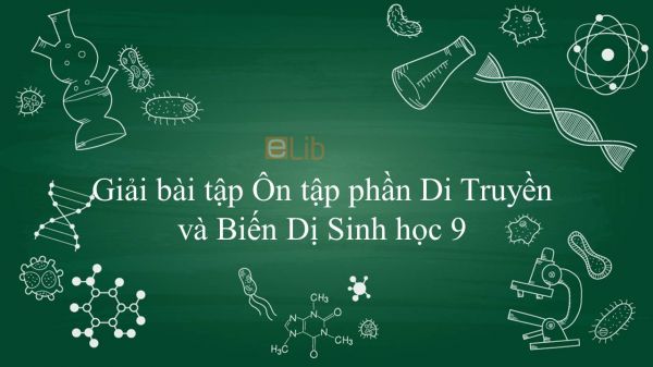 Giải bài tập SGK Sinh học 9 Bài 40: Ôn tập phần Di Truyền và Biến Dị