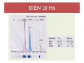 Điện di Hemoglobin: ý nghĩa lâm sàng chỉ số xét nghiệm