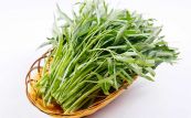 Cây rau muống - Thanh nhiệt, giải độc, nhuận tràng