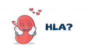 Xét nghiệm loại mô (HLA): ý nghĩa lâm sàng kết quả xét nghiệm