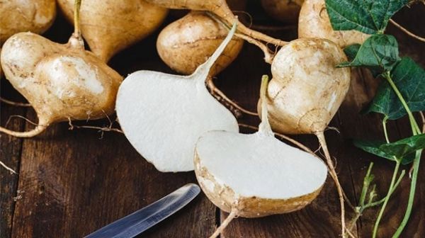 Cây củ đậu - Chữa ngộ độc rượu, lở loét, ghẻ ngứa