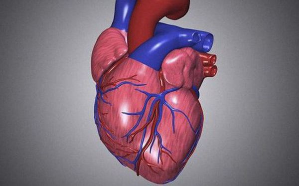 Bệnh cơ tim - triệu chứng, nguyên nhân và cách điều trị