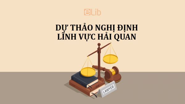 Dự thảo nghị định về quyết định hành chính trong lĩnh vực hải quan