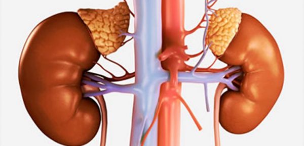 Bệnh suy thượng thận cấp - Triệu chứng, nguyên nhân và cách điều trị