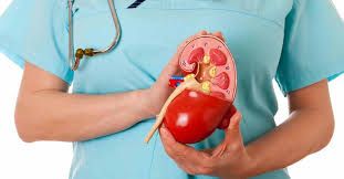 Bệnh xơ hóa hệ thống nguồn gốc thận - Triệu chứng, nguyên nhân và cách điều trị