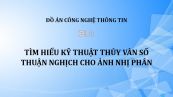 Đồ án: Tìm hiểu kỹ thuật thủy vân số thuận nghịch cho ảnh nhị phân