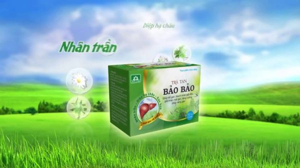 Trà tan Bảo Bảo - Hỗ trợ điều trị bệnh gan