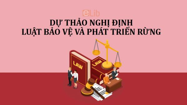 Dự thảo nghị định về thi hành luật bảo vệ và phát triển rừng