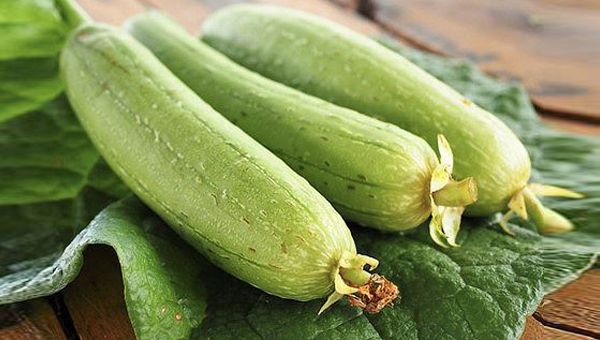 Mướp - Lợi sữa, thông kinh, giải độc, giảm đau, cầm máu