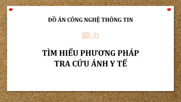 Đồ án: Tìm hiểu phương pháp tra cứu ảnh y tế