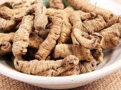 Ba kích-  Chữa liệt dương, di tinh, tử cung lạnh, kinh nguyệt không đều