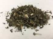 Cỏ nhọ nồi - Chữa trị ho, đại tiểu tiện ra máu, băng huyết, lợi sưng