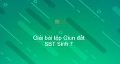 Giải SBT Sinh 7 Bài 15: Giun đất