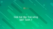 Giải SBT Sinh 7 Bài 18: Trai sông