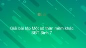 Giải SBT Sinh 7 Bài 19: Một số thân mềm khác