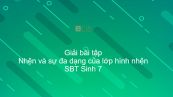 Giải SBT Sinh 7 Bài 25: Nhện và sự đa dạng của lớp Hình nhện