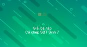 Giải SBT Sinh 7 Bài 31: Cá chép