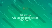 Giải SBT Sinh 7 Bài 33: Cấu tạo trong của cá chép