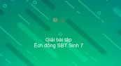 Giải SBT Sinh 7 Bài 35: Ếch đồng