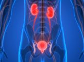 Bệnh tắc nghẽn đường tiết niệu dưới - Triệu chứng, nguyên nhân và cách điều trị