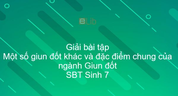 Giải SBT Sinh 7 Bài 17: Một số giun đốt khác và đặc điểm chung của ngành Giun đốt