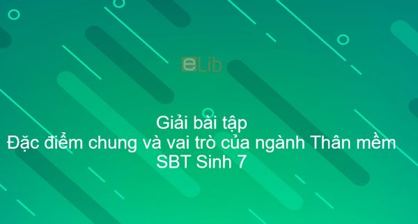 Giải SBT Sinh 7 Bài 21: Đặc điểm chung và vai trò của ngành Thân mềm