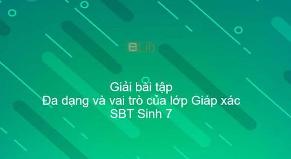 Giải SBT Sinh 7 Bài 24: Đa dạng và vai trò của lớp Giáp xác