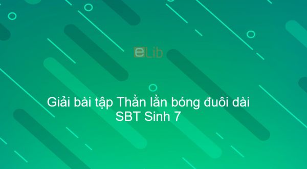 Giải SBT Sinh 7 Bài 38: Thằn lằn bóng đuôi dài