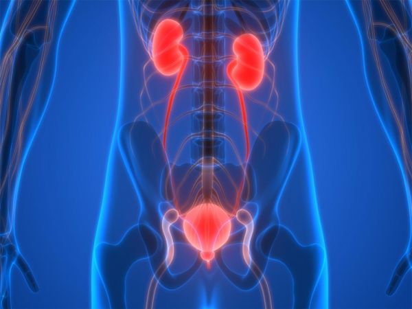 Bệnh tắc nghẽn đường tiết niệu dưới - Triệu chứng, nguyên nhân và cách điều trị