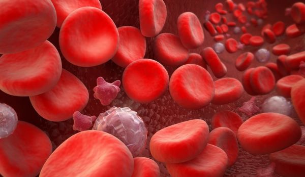 Bệnh tăng tế bào hồng cầu - Triệu chứng, nguyên nhân và cách điều trị