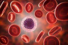 Bệnh tăng tế bào lympho - Triệu chứng, nguyên nhân và cách điều trị