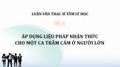 Luận văn ThS: Áp dụng liệu pháp nhận thức cho một ca trầm cảm ở người lớn