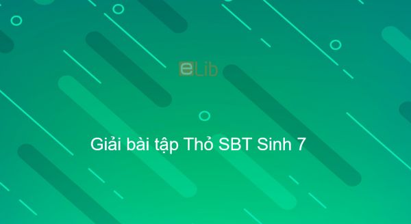 Giải SBT Sinh 7 Bài 46: Thỏ