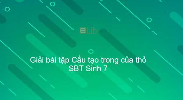 Giải SBT Sinh 7 Bài 47: Cấu tạo trong của thỏ