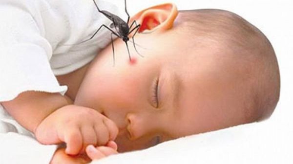 Bệnh sốt rét (do muỗi anophen đốt) - Triệu chứng, nguyên nhân và cách điều trị