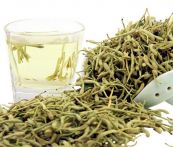 Kim ngân hoa - Chữa ung nhọt, ban sởi, mày đay, lở ngứa, cảm mạo, ôn