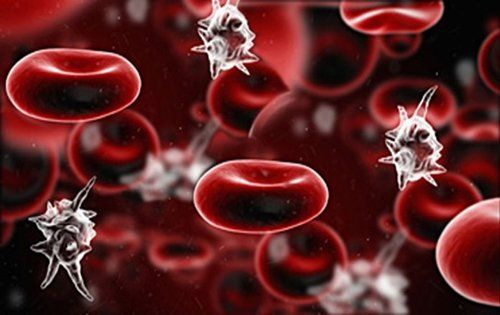 Bệnh sốc nhiễm trùng - Triệu chứng, nguyên nhân và cách điều trị