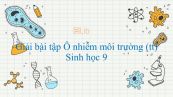 Giải bài tập SGK Sinh học 9 Bài 55: Ô nhiễm môi trường (tiếp theo)
