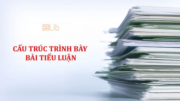 Cấu trúc trình bày một tiểu luận