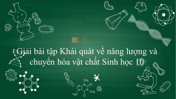 Giải bài tập SGK Sinh học 10 Bài 13: Khái quát về năng lượng và chuyển hóa vật chất