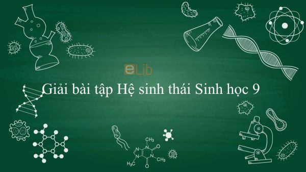 Giải bài tập SGK Sinh học 9 Bài 50: Hệ sinh thái