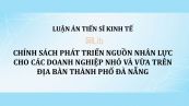 Luận án TS: Chính sách phát triển nguồn nhân lực cho các doanh nghiệp nhỏ và vừa trên địa bàn thành phố Đà Nẵng