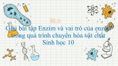 Giải bài tập SGK Sinh học 10 Bài 14: Enzim và vai trò của enzim trong quá trình chuyển hóa vật chất