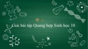 Giải bài tập SGK Sinh học 10 Bài 17: Quang hợp
